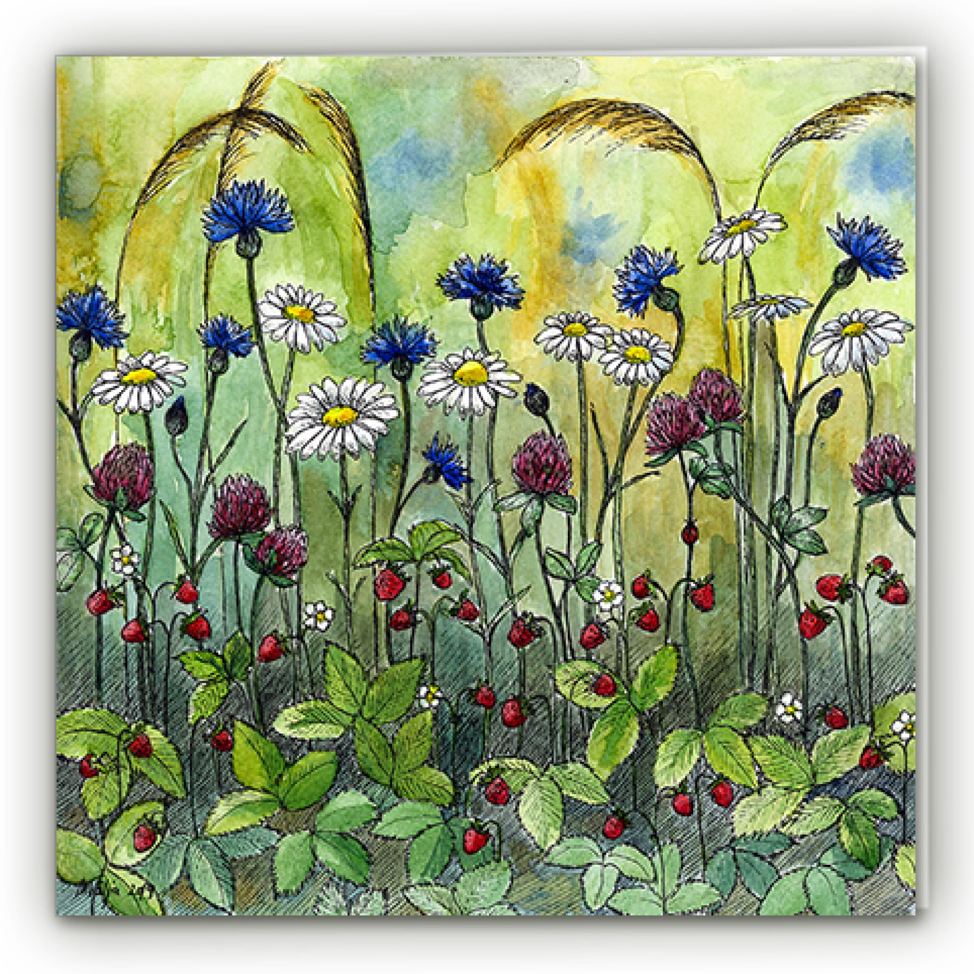 Õnnitluskaart niidutaimedega - karikakrad, rukkililled, ristikhein, metsmaasikad