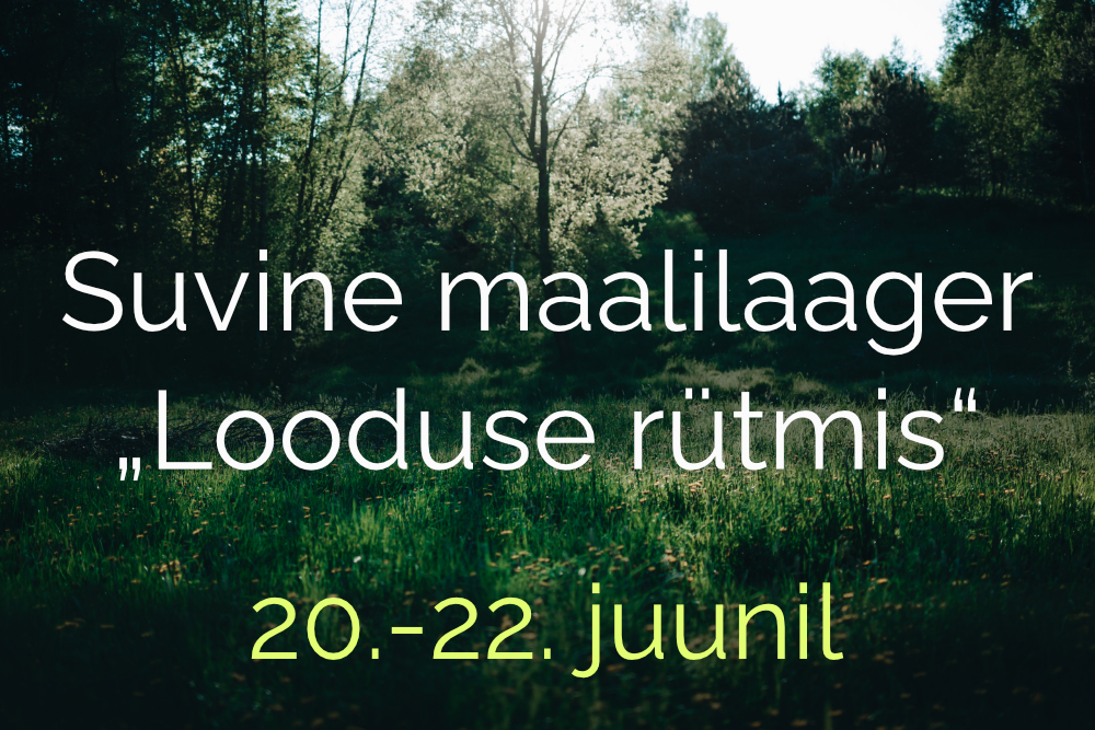 Suvine maalilaager