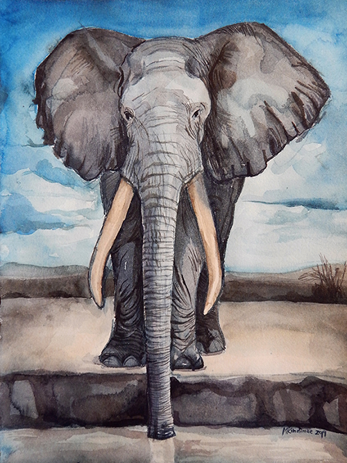 akvarellmaal tootemloom elevant
