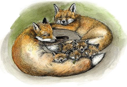 illustratsioon kaisus on koige parem uni