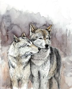 akvarellmaal tindijoonistusega hundiarmastus