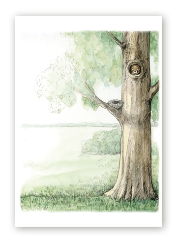 Poster oravaga puu otsas
