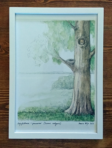 Poster illustratsiooniga oravast puu otsas