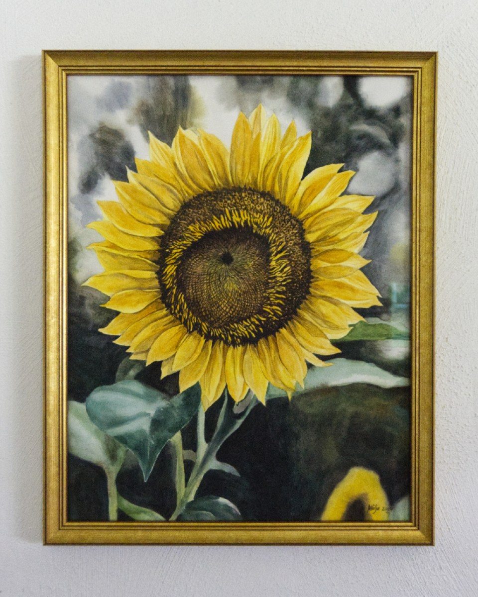 akvarellmaal Päevalill raamiga