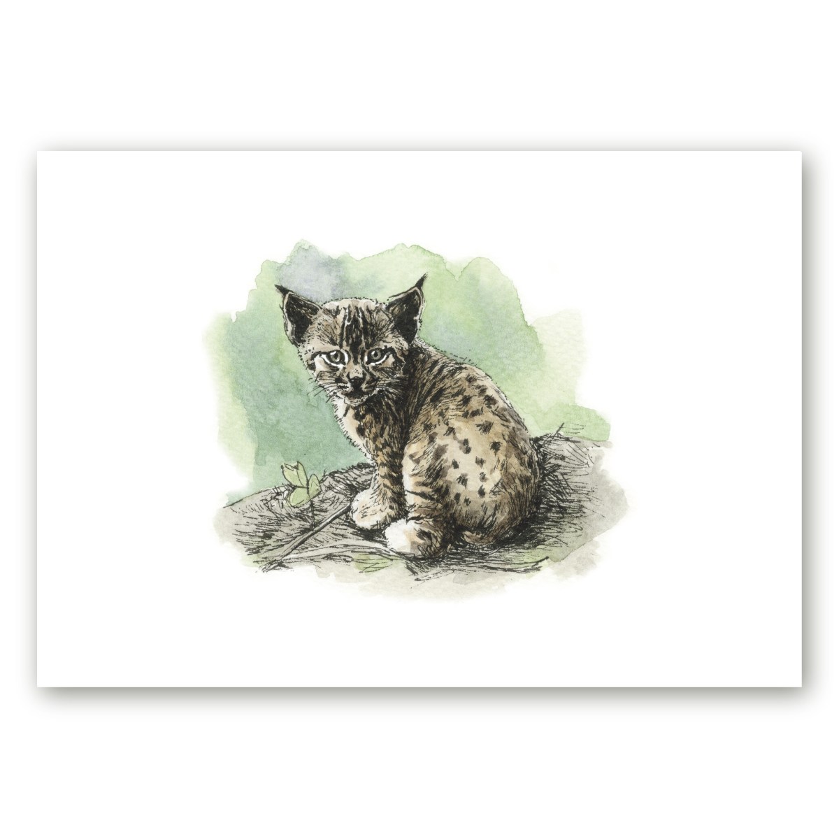 Poster istuva Euroopa ilvese pojaga kunstnik Maria Välja illustratsioonist.