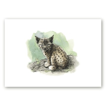 Poster istuva Euroopa ilvese pojaga kunstnik Maria Välja illustratsioonist.