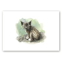 Poster istuva Euroopa ilvese pojaga kunstnik Maria Välja illustratsioonist.