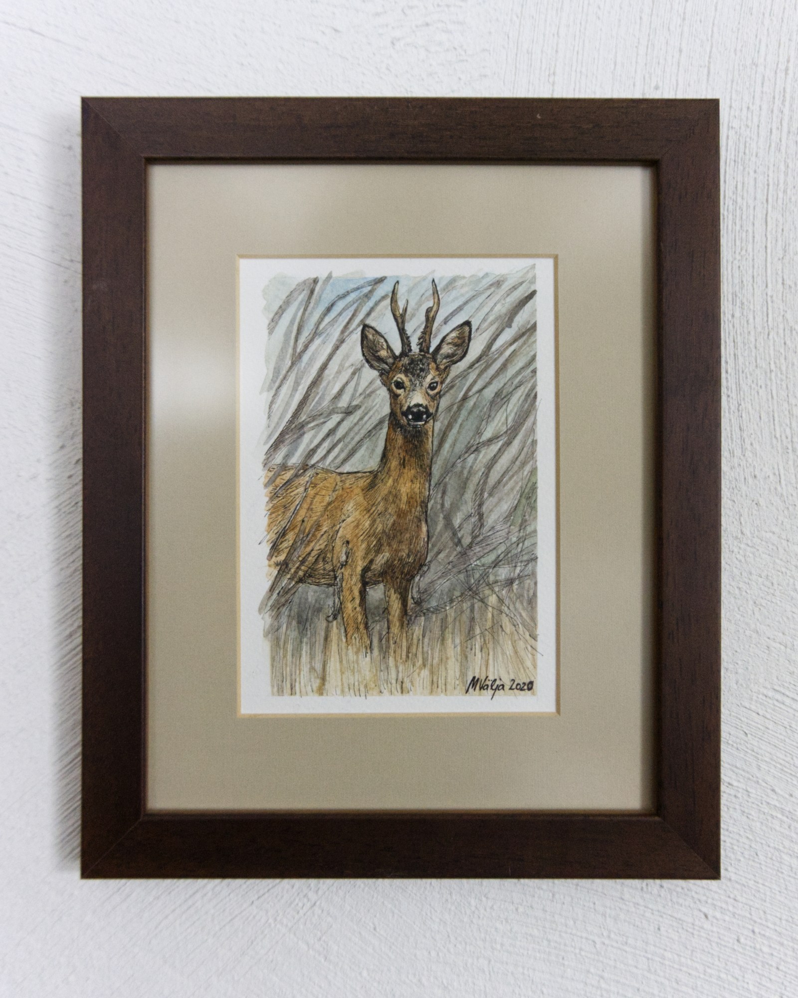 Illustratsioon Kohtumine metskitsega raamis