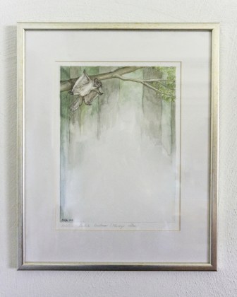 Illustratsioon Reisiline - Lendorav raamis