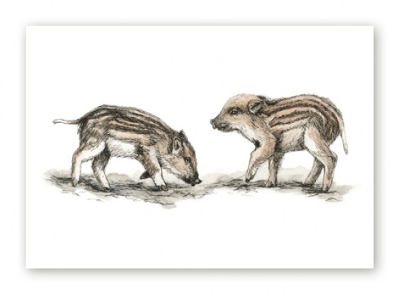 Poster kahe metsseapõrsaga