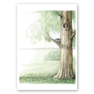 Poster puu otsas pesast välja vaatava oravaga, mis on loodud kunstnik Maria Välja illustratsioonist.
