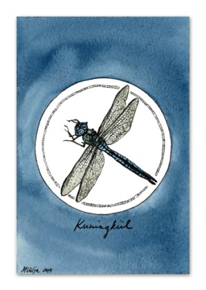 kuningkiil_epoodi3
