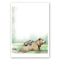 Poster illustratsiooniga karuemast koos karupojaga metsas pikutamas kunstnik Maria Välja teose põhjal.