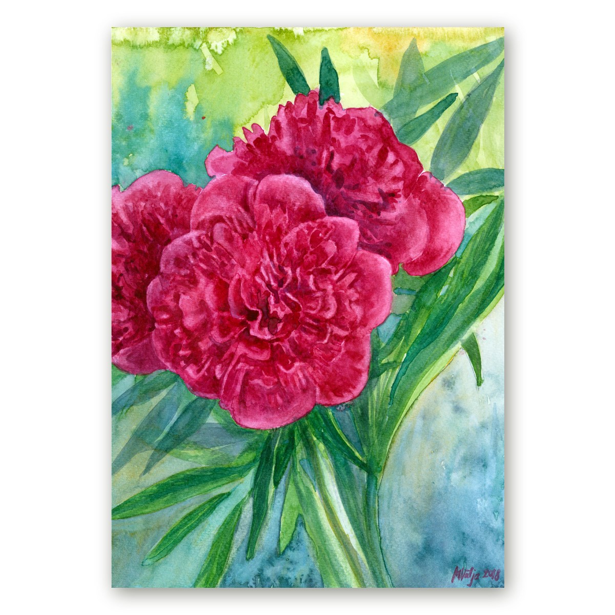 Poster kunstniku Maria Välja akvarellmaalist erkroosade pojengidega