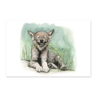 postkaart-euraasia-hunt_epoodi