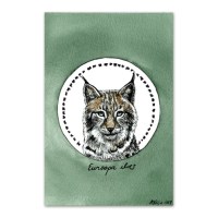 postkaart-euroop-ailves_epoodi