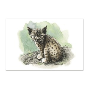 postkaart-euroopa-ilves_epoodi