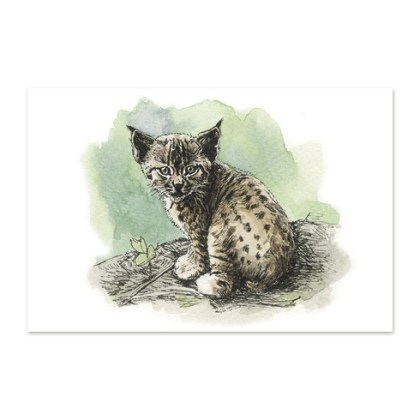 postkaart-euroopa-ilves_epoodi