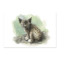 postkaart-euroopa-ilves_epoodi