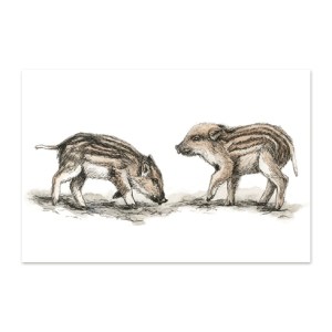 postkaart-metssead_epoodi