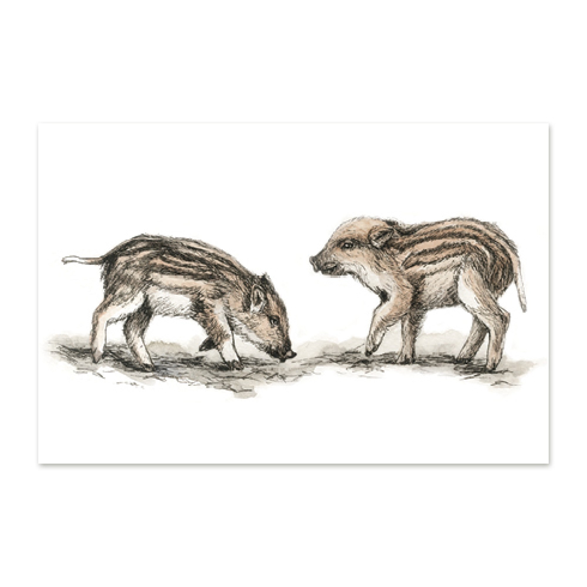 postkaart-metssead_epoodi