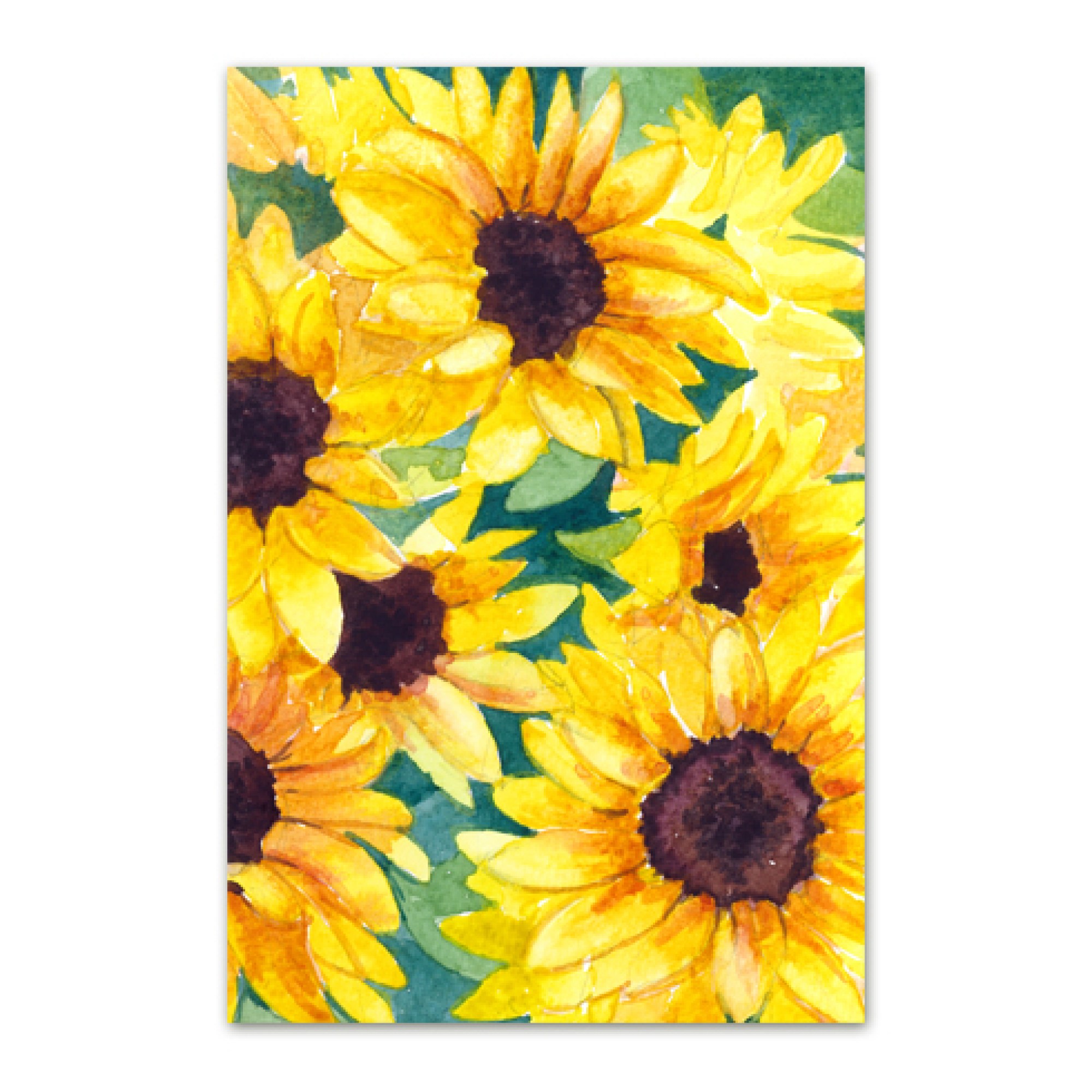 Postkaart akvarellmaaliga päevalilledest