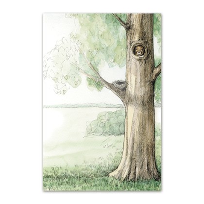 postkaart-punaorav1_epoodi