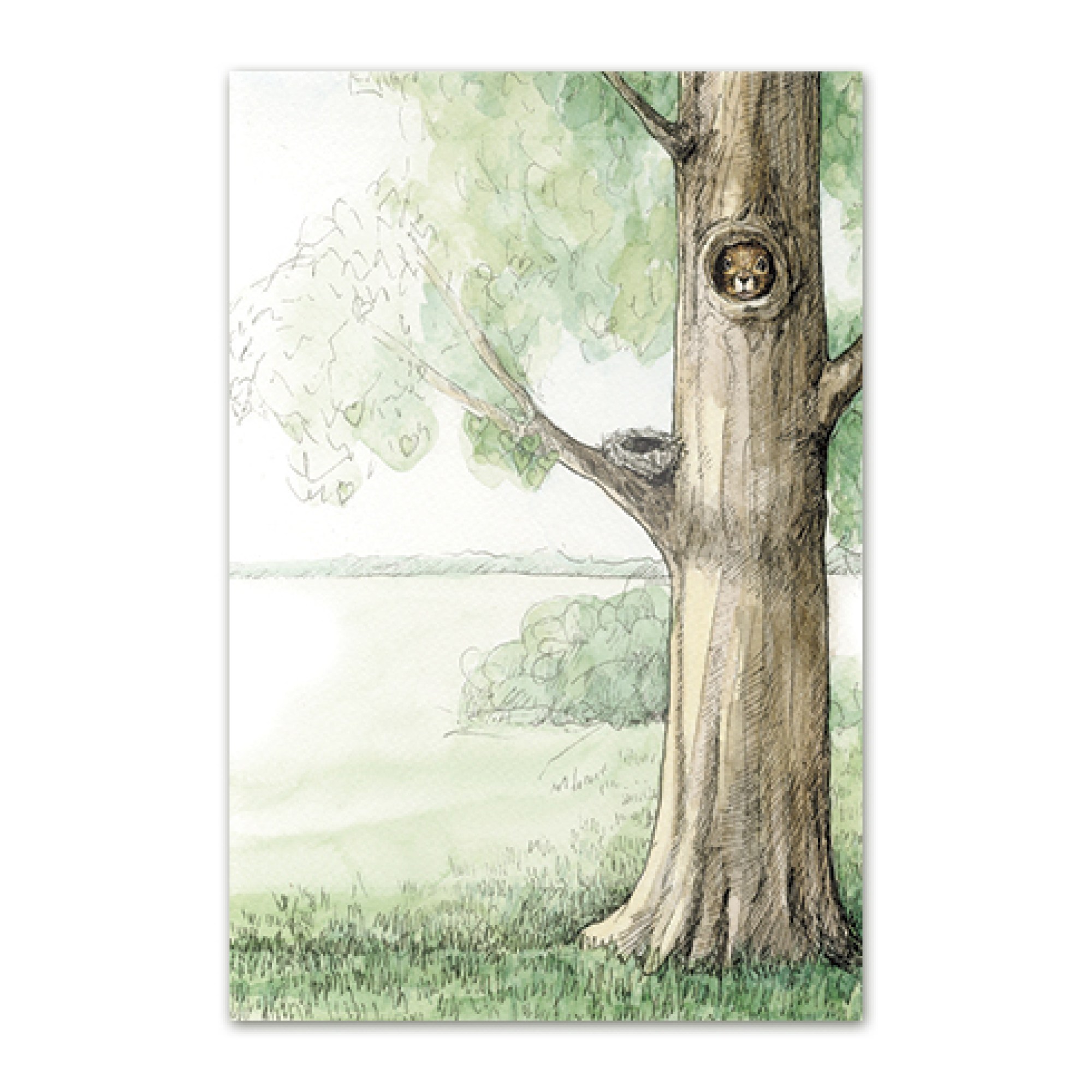 postkaart-punaorav1_epoodi