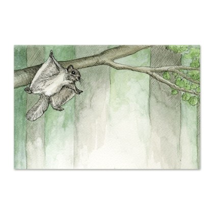 Postkaart lendorava illustratsiooniga