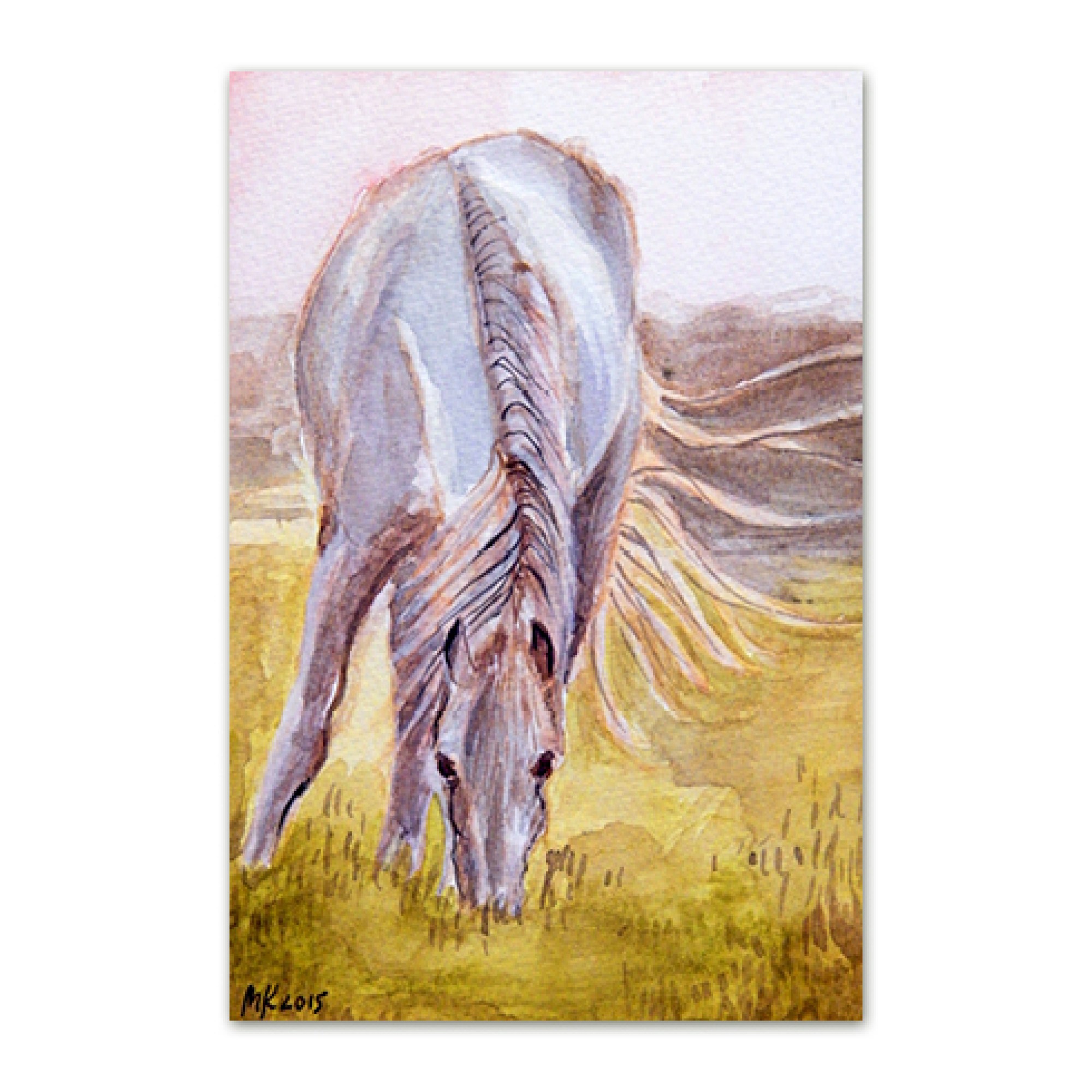 postkaart-valge-hobune_epoodi