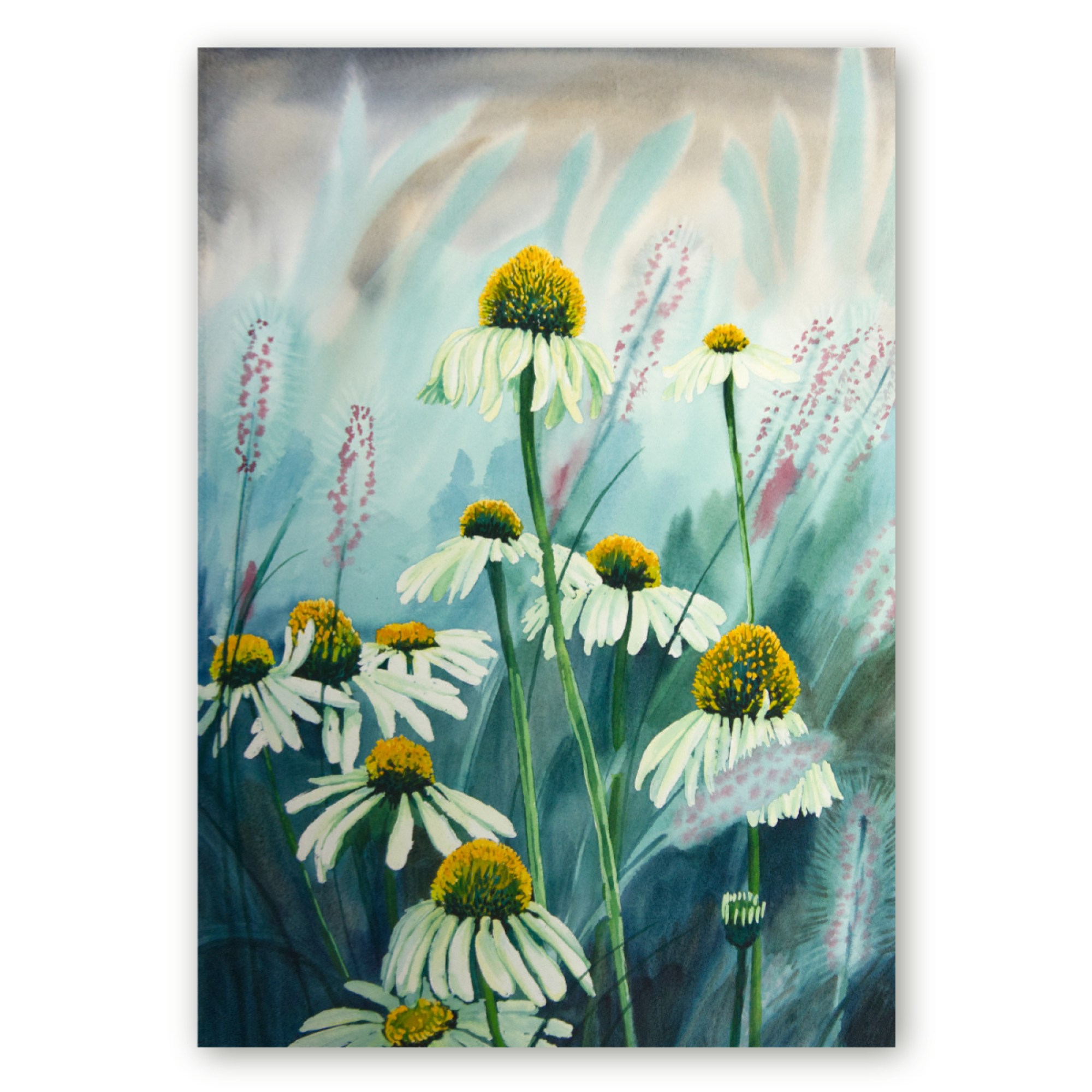 Akvarellmaal valgetest siilkübaratest sinakasrohelisel taustal, Maria Välja lillemaal.