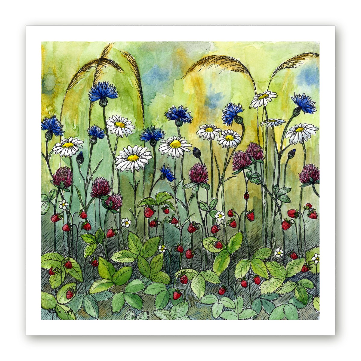 Poster niidutaimedest kunstnik Maria Välja illustratsiooni "Suvine niiduelu" põhjal.